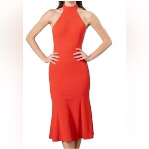 Nwt Dress The Population Amara Poppy Dress